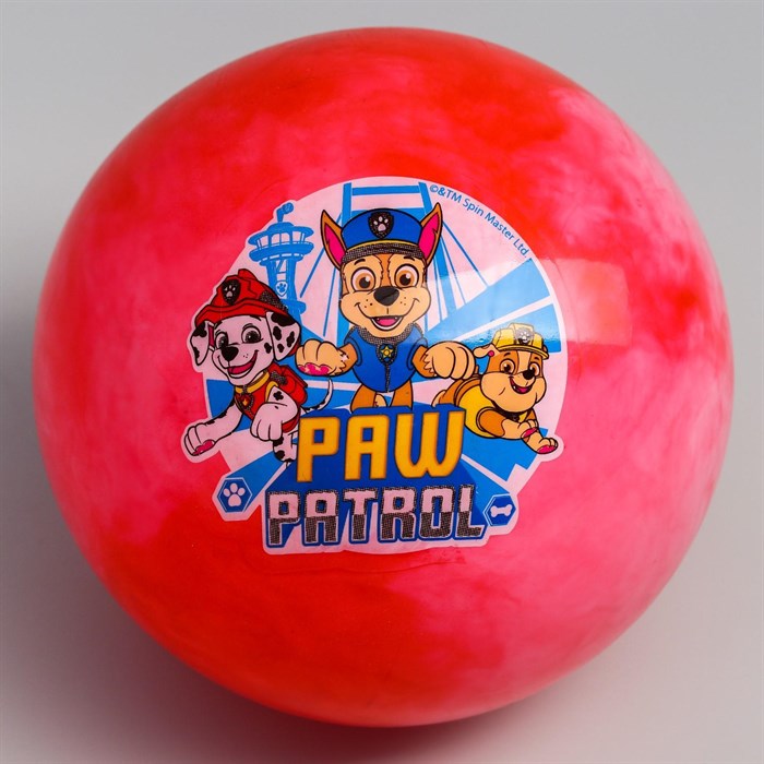Мяч детский Paw Patrol 22см 60гр мрамор 5083427 5083427 - фото 163869
