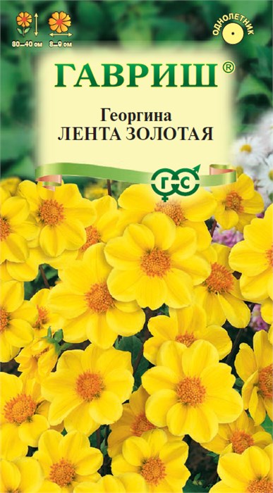 Семена цветов Георгина Лента золотая 0,2 г DH Г А327 - фото 167609