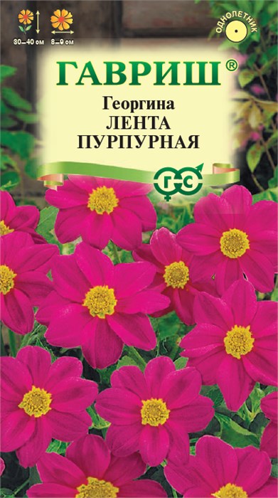 Семена цветов Георгина Лента пурпурная 0,2г Н9 Г А329 - фото 167611