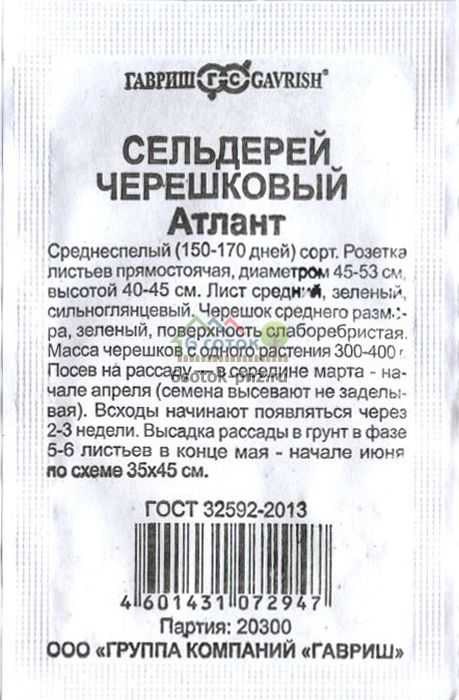 Семена Сельдерей черешковый Атлант 0,1 г б/п Г Г53 - фото 168073