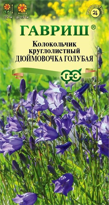 Семена цветов Колокольчик круглолистный Дюймовочка голубая 0,01 г Н24 Г Г25 - фото 168122