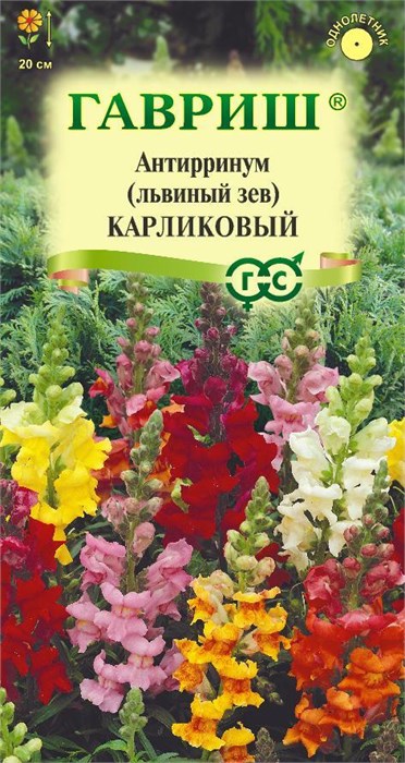Семена цветов Антирринум (Львиный зев) Карликовый*, смесь 0,05 г Г Г61 - фото 168129