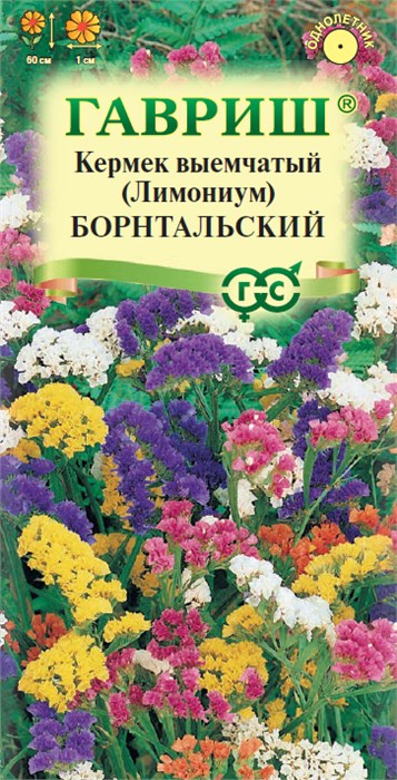 Семена цветов Кермек (Лимониум) выемчатый Борнтальский, смесь* 0,1 г Г Г177 - фото 168250
