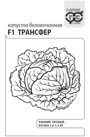 Семена Капуста белокоч. Трансфер F1 0,3 г (б/п) Г Г265 - фото 168571