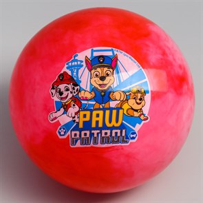 {{productViewItem.photos[photoViewList.activeNavIndex].Alt || productViewItem.photos[photoViewList.activeNavIndex].Description || 'Мяч детский Paw Patrol 22см 60гр мрамор 5083427'}}