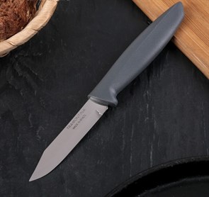 Нож 7,5см TRAMONTINA Plenus для овощей 2985848