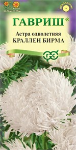 Семена цветов Астра Краллен Бирма однолетняя (коготковая кремовая) 0,3 г Г А313