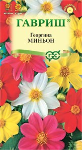 Семена цветов Георгина Миньон смесь 0,3г Г А331