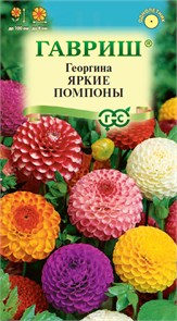 Семена цветов Георгина Яркие помпоны 0,2 г Г А333