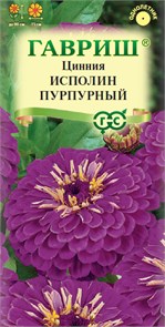 Семена цветов Цинния Исполин пурпурный 0,3г Н12 Г А357