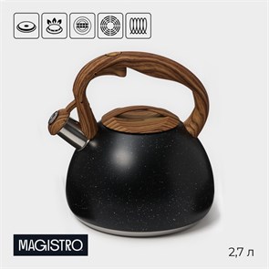 {{productViewItem.photos[photoViewList.activeNavIndex].Alt || productViewItem.photos[photoViewList.activeNavIndex].Description || 'Чайник 2,7л нерж со свистком Stone черный, ручка soft-touch, индукция 4501435'}}