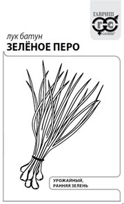 {{productViewItem.photos[photoViewList.activeNavIndex].Alt || productViewItem.photos[photoViewList.activeNavIndex].Description || 'Семена Лук батун Зеленое перо, на зелень 0,5 г б/п с евроотв. Г'}}