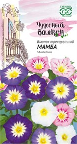 Семена цветов Вьюнок Трехцветный Мамба смесь 0,5г серия Чудесный балкон Н10 Г Г63