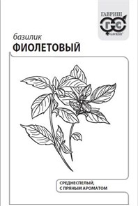 {{productViewItem.photos[photoViewList.activeNavIndex].Alt || productViewItem.photos[photoViewList.activeNavIndex].Description || 'Семена Базилик Фиолетовый 0,3 г (б/п с евроотв.) Г'}}