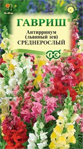 Семена цветов Антирринум (Львиный зев) Среднерослый*, смесь 0,05 г DH Г Г173
