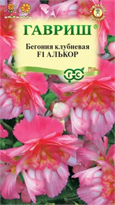 Семена цветов Бегония Алькор F1 клубневая, амп. 4 шт. гранул. пробирка Г Г21