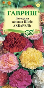 Семена цветов Гвоздика садовая Шабо Акварель,* смесь 0,05 г Г Г168