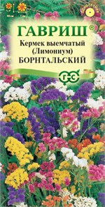 Семена цветов Кермек (Лимониум) выемчатый Борнтальский, смесь* 0,1 г Г Г177