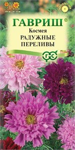 Семена цветов Космея махровая Радужные переливы 0,1 г DH Г Г179