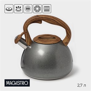 {{productViewItem.photos[photoViewList.activeNavIndex].Alt || productViewItem.photos[photoViewList.activeNavIndex].Description || 'Чайник 2,7л нерж со свистком Stone серый ручка soft-touch индукция 4501434'}}