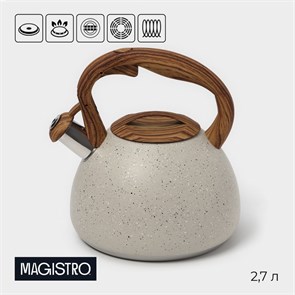 {{productViewItem.photos[photoViewList.activeNavIndex].Alt || productViewItem.photos[photoViewList.activeNavIndex].Description || 'Чайник 2,7л нерж со свистком Stone бежевый ручка soft-touch индукция 4501433'}}