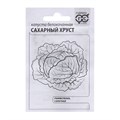 Семена Капуста белокоч. Сахарный хруст 0,5 г ранняя (б/п) Н12 Г 10217709 - фото 167384