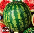 Семена Арбуз Фотон 1 г (б/п) Г Г98 - фото 167921 Семена Арбуз Фотон 1 г (б/п) Г Г98 - фото 167921