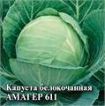 Семена Капуста белокоч. Амагер 611 0,1 г (для хранения) б/п с евроотв. Г А380 - фото 168565 Семена Капуста белокоч. Амагер 611 0,1 г (для хранения) б/п с евроотв. Г А380 - фото 168565
