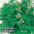 Семена Кориандр Янтарь 1 г (б/п с евроотв.) Г Г108 - фото 168577 Семена Кориандр Янтарь 1 г (б/п с евроотв.) Г Г108 - фото 168577