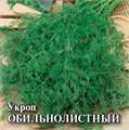 Семена Укроп Обильнолистный 2 г (б/п с евроотв.) Г Г269 - фото 168600 Семена Укроп Обильнолистный 2 г (б/п с евроотв.) Г Г269 - фото 168600