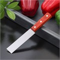 Нож 17,5см для мяса и стейков Доляна Мачете 148153 148153 - фото 169601 Нож 17,5см для мяса и стейков Доляна Мачете 148153 148153 - фото 169601