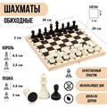 Игра настольная Шахматы 29 х 29 см фигуры пластик 2879453 2879453 - фото 170316 Игра настольная Шахматы 29 х 29 см фигуры пластик 2879453 2879453 - фото 170316