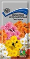 Семена цветов Хризантема Смесь окрасок крупноцветковая 0,05г (ПОИСК) Е116